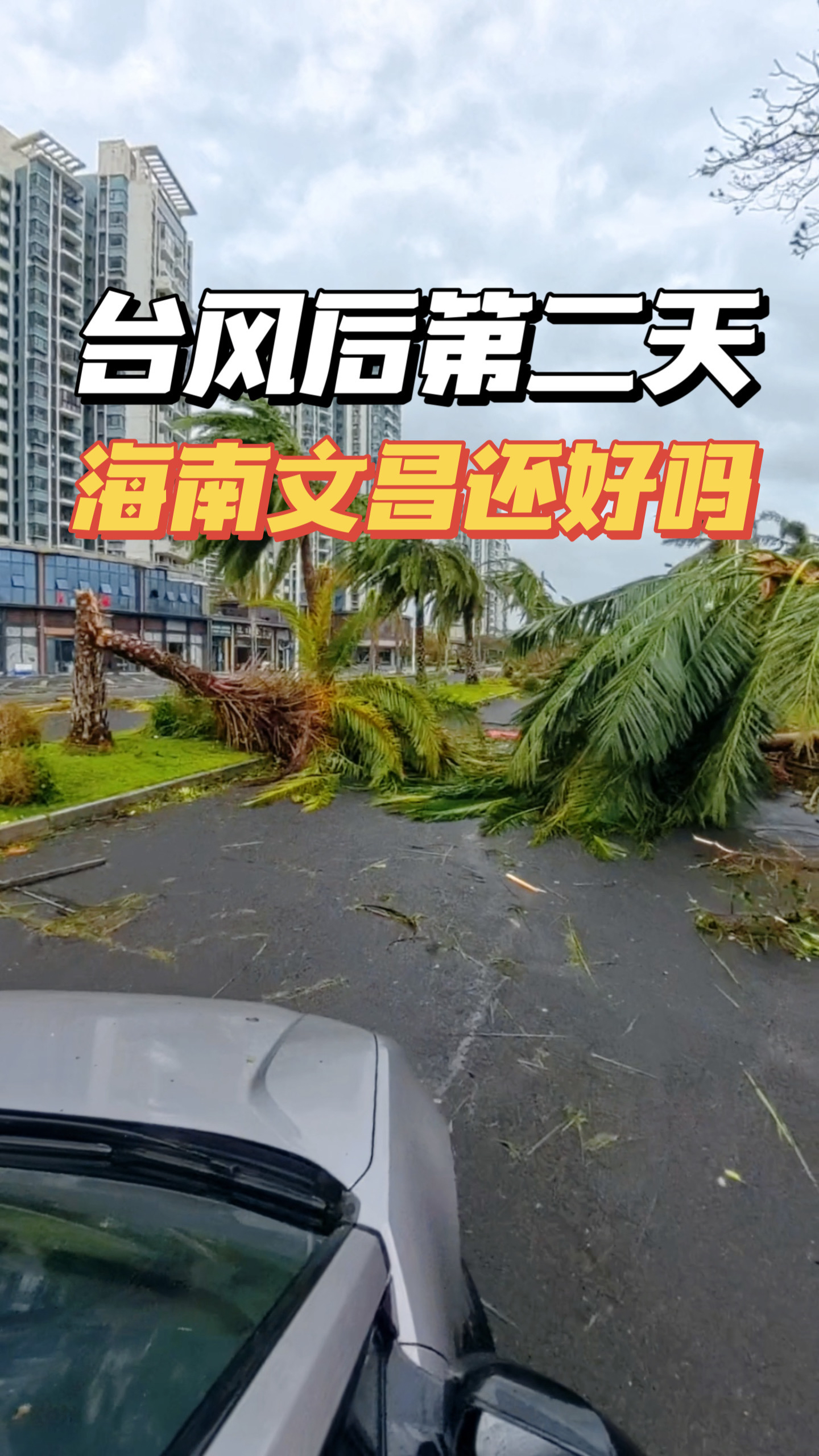 关于海南风暴备受关注，潜力无限的信息