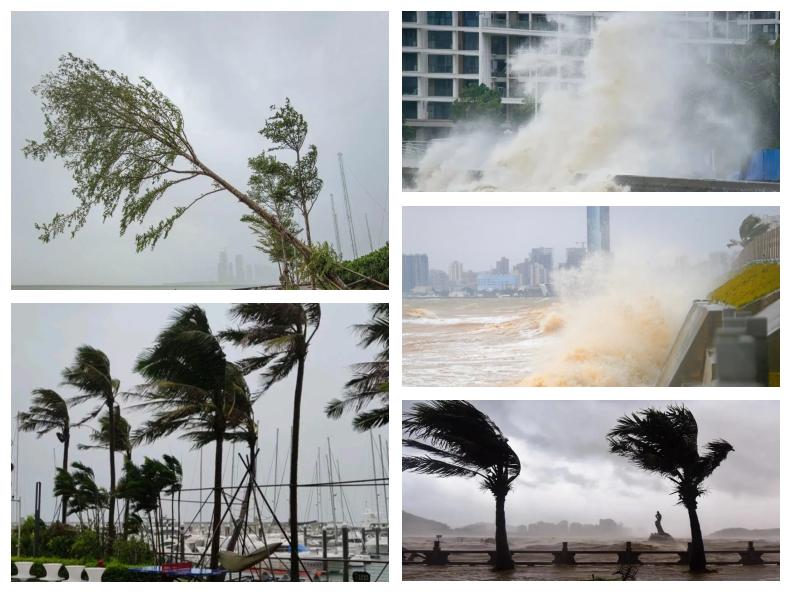 关于海南风暴备受关注，潜力无限的信息