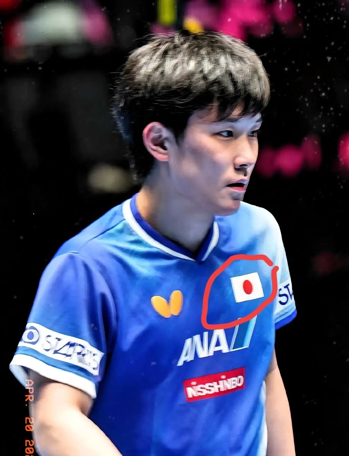 关于日本乒乓球队横扫波兰乒乓球队,张本智和关键制胜的信息 关于日本乒乓球队横扫波兰乒乓球队,张本智和关键制胜的信息