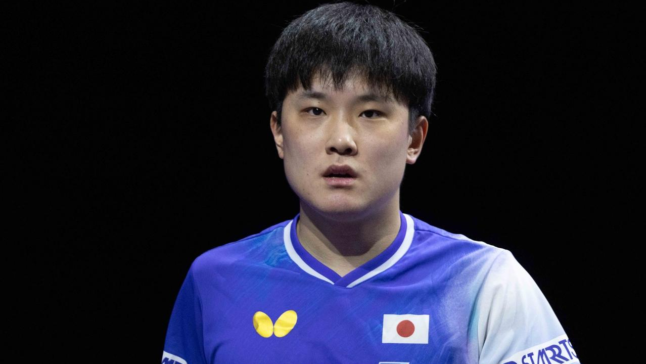 关于瑞典乒乓球队鏖战韩国乒乓球队，张本智和绝境逆转的信息