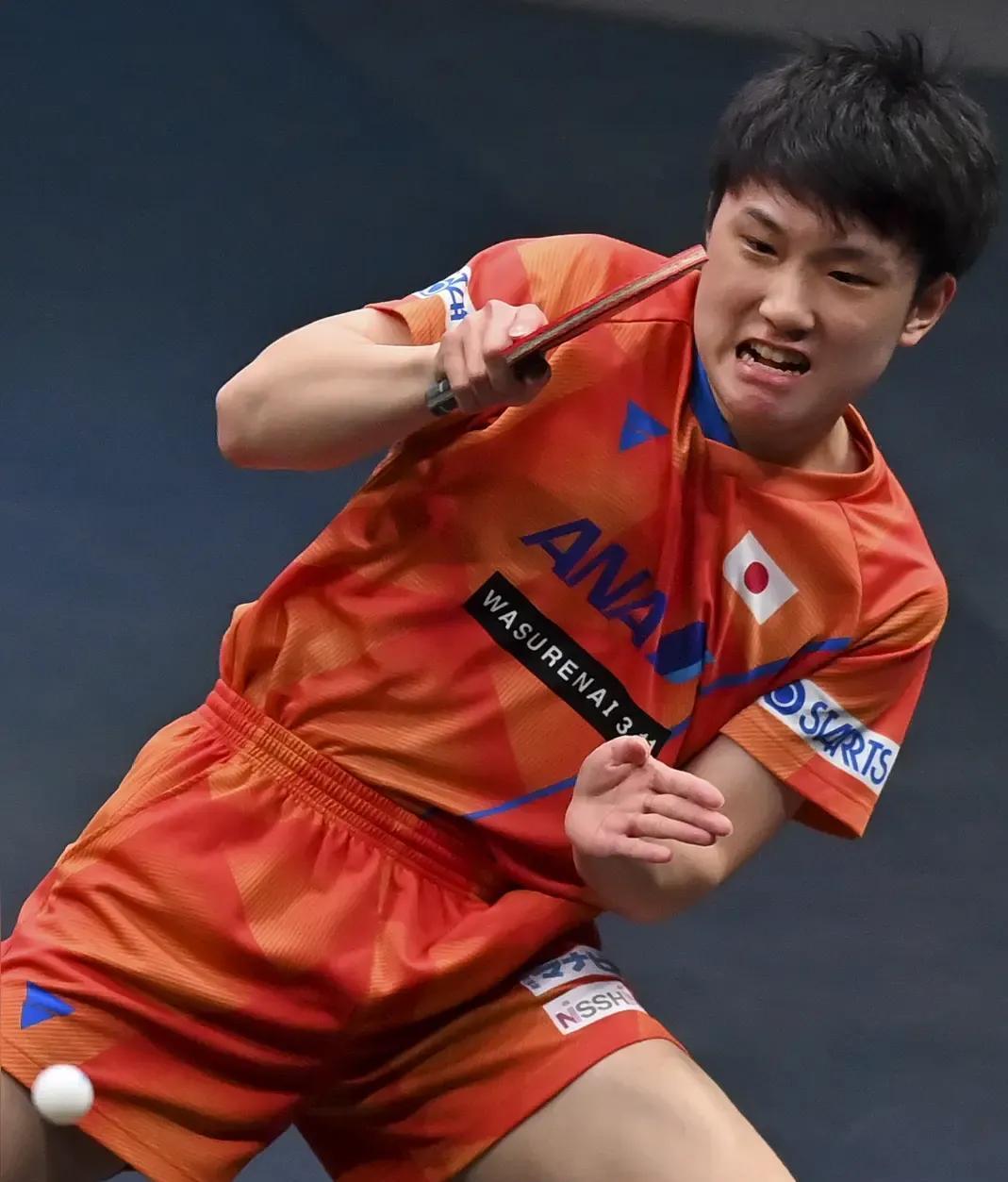 关于瑞典乒乓球队鏖战韩国乒乓球队，张本智和绝境逆转的信息