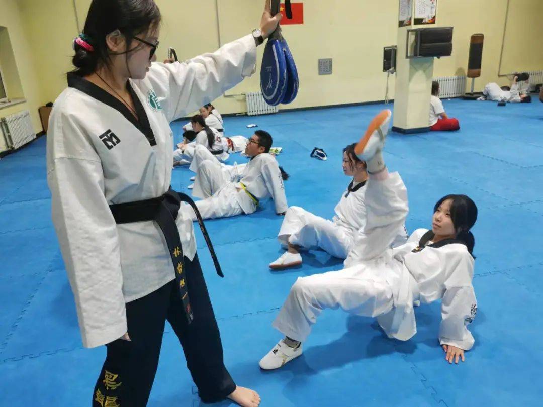 关于跆拳道比赛选手pk：一枝独秀绽放风采的信息