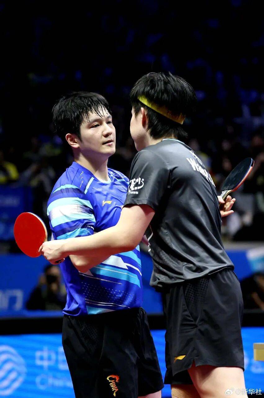 法国队完胜英格兰队，樊振东统治全场的简单介绍