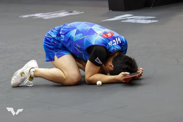 马来西亚羽毛球队绝杀中国羽毛球队，陶菲克统治全场的简单介绍