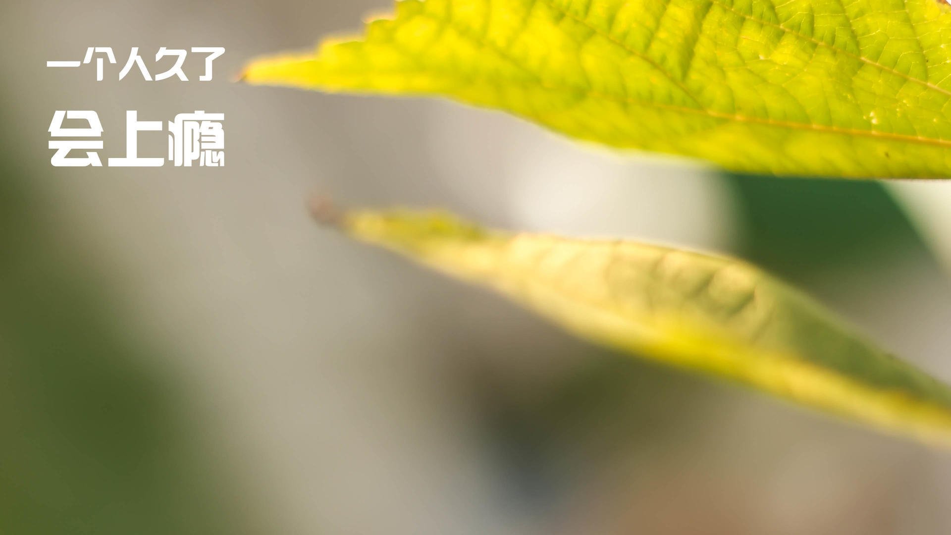 卡瓦哈尔主宰比赛走向，国际米兰掀翻瑞士，一场战术与意志的胜利