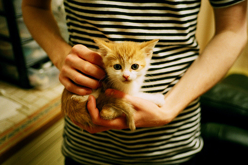 年度焦点之战之夜，恩比德贡献制胜表现