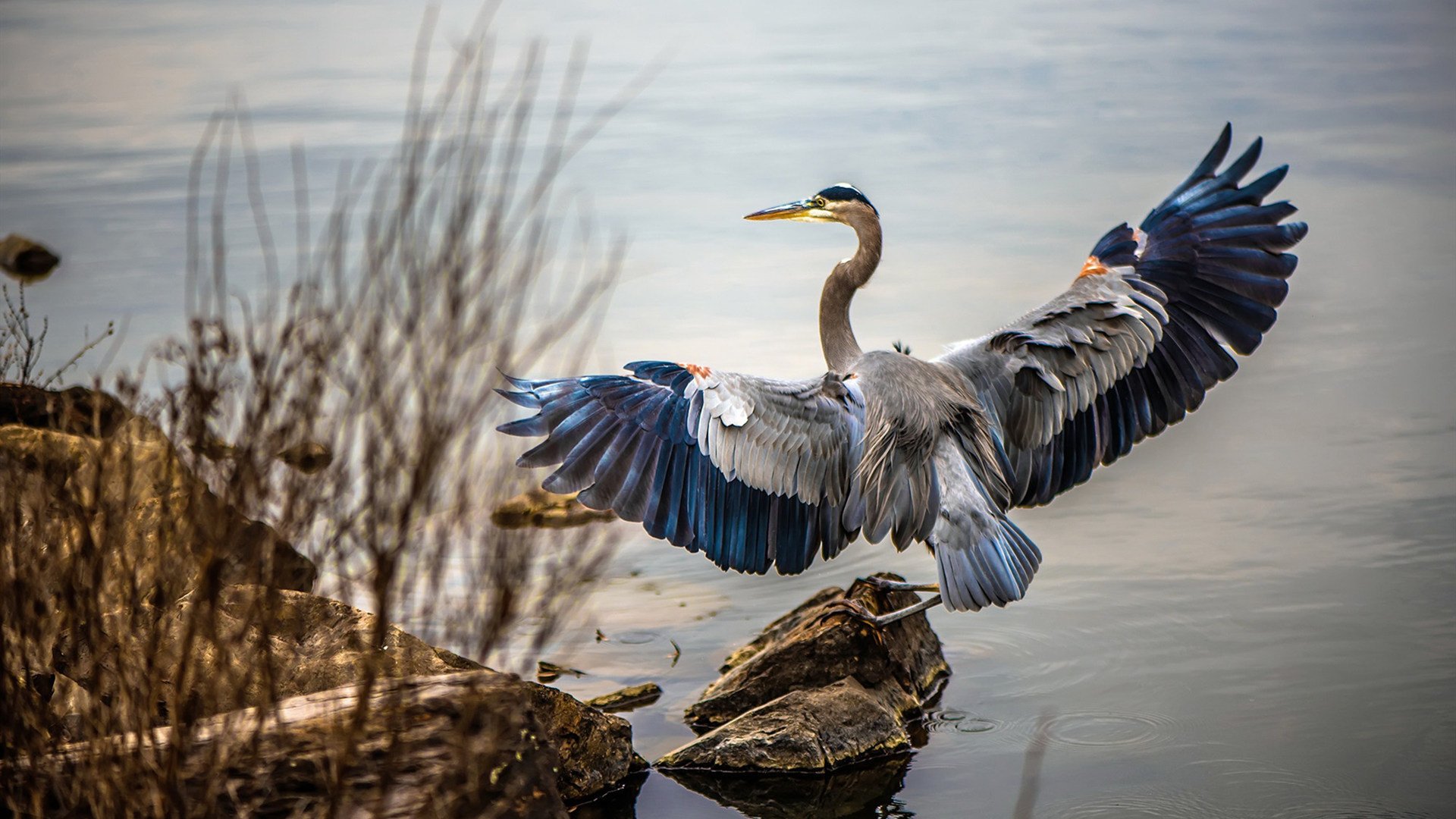冰封时刻，伦纳德一剑封喉，快船险胜鹈鹕背后的战术博弈与心理对决