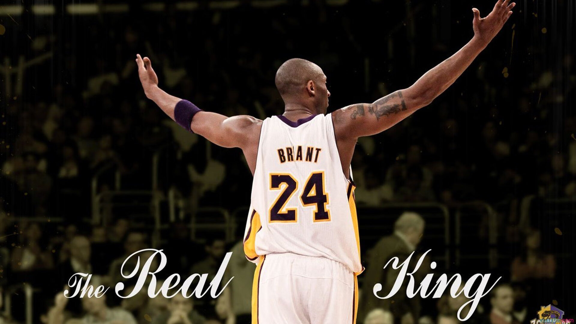 橙色风暴席卷加勒比，德里赫特一锤定音，尼日利亚全面压制牙买加锁定胜局